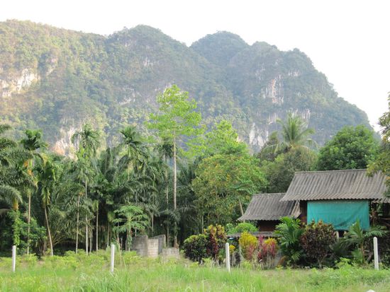 Die dicht bewachsenen Kalksteinhöhenzüge und Felsen mit ihren kahlen Steilwänden sind vor 60–140 Millionen Jahren aus gehobenem Meeresboden entstanden.