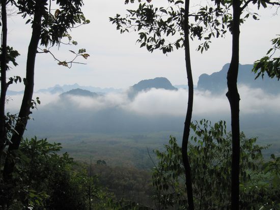 Auf dem "Weg" zur Rafflesia. Ungemein steil. 3 Stunden Track nur für Geübte und Hillo (und Erich mit seinen bekannten Wanderschuhen).