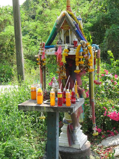 Auf einer Fahradtour durch Prapradaeng. Prapradaeng ist eine 19 qkm große Halbinsel, die weit in das Stadtgebiet von Bangkok hineinreicht. An einer Vielzahl schmaler Wasserkanäle stehen Bambushecken, Sumpfpalmen und meterhohe Urwaldriesen. Das Gebiet gilt als „grüne Lunge von Bangkok“. Mit dem Bus No. 47 quer durch Bangkok und dann bei der Endstation Khlong Toei aussteigen, über den Fluss übersetzen und dann ein Fahrad mieten. Die Beton-Wege zum Fahren wurden zeitweise so schmal (rechts und links Sumpf), das selbst unsere Profiradlerin irgendwann die Nase voll hatte.