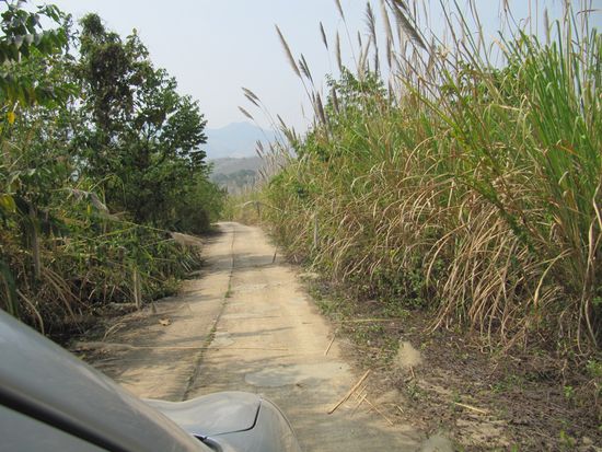 Hier haben wir uns dann total verhaspelt. Enge, überwachsene Straßen. Gefühlte Steigung 30%. Sind wir noch in Thailand? Oder schon über die Grenze? Einmal: Drei Straßen, eine ins Dorf, eine mitten auf den Schulhof und die dritte - ja da kamen wir her. Also wieder 30 km zurück. Taktiken, wie nach Orientierung fahren, oder nach Gefühl, oder Schilder lesen, oder Karte studieren bringen nichts. Einziger Ausweg: an einer Kreuzung warten bis jemand mit einem Pickup kommt, ein freundliches Gespräch, thailändisches Kopfschütteln, hinterherfahren. Hat dann immer funktioniert.