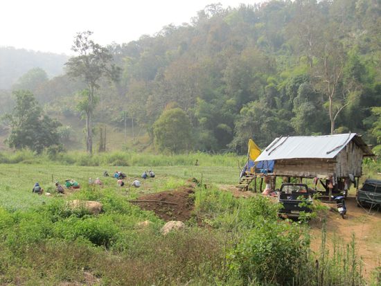 An der Strecke viel Landwirtschaft - und Arbeit.