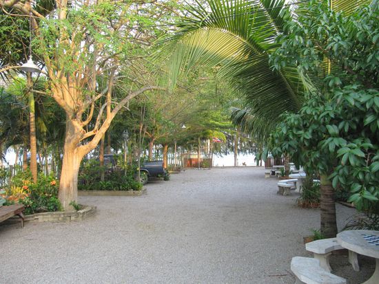 Das ist unser Garten. Im Hintergrund das Meer.