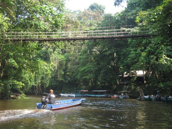 Die Hängebrücke ist der Eingang zum Mulu Park.