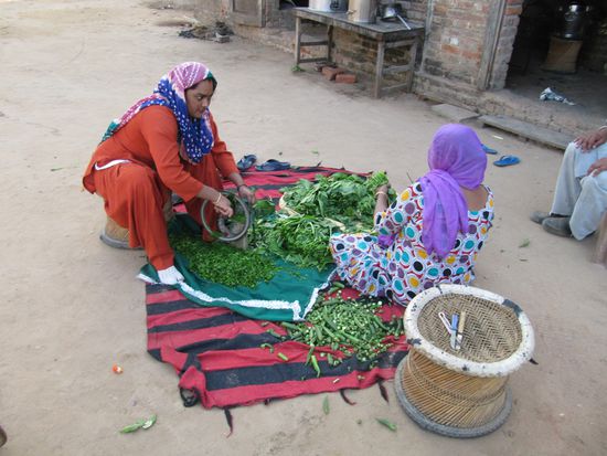 Hier wird wirklich Spinat gemacht. Die grünen Spinatblätter werden durch eine Mühle gedreht.