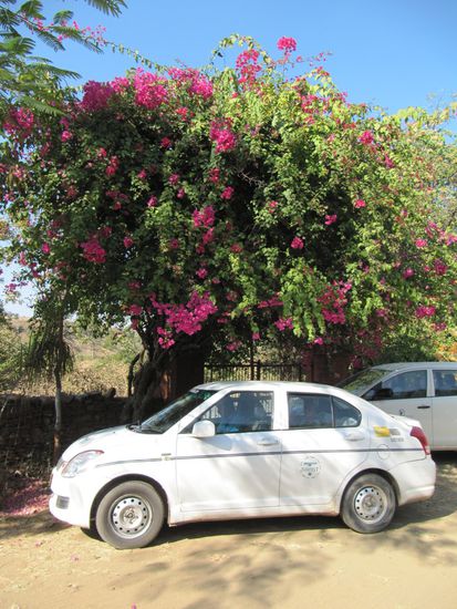 Unser KalkaTravel-Auto. Innen sehr gemütlich. Stellenweise hat sogar die AC funktioniert.