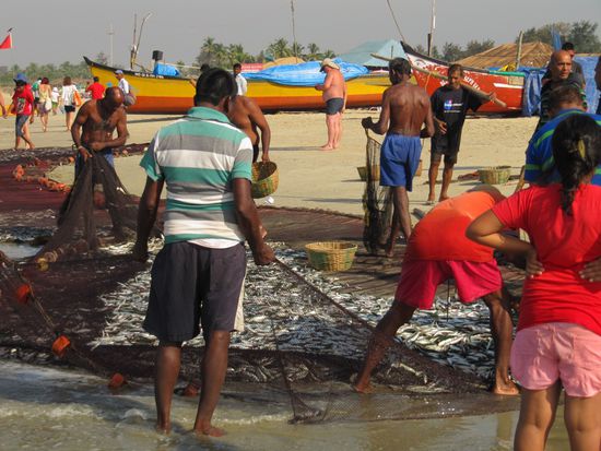 Ein guter Fischfang.