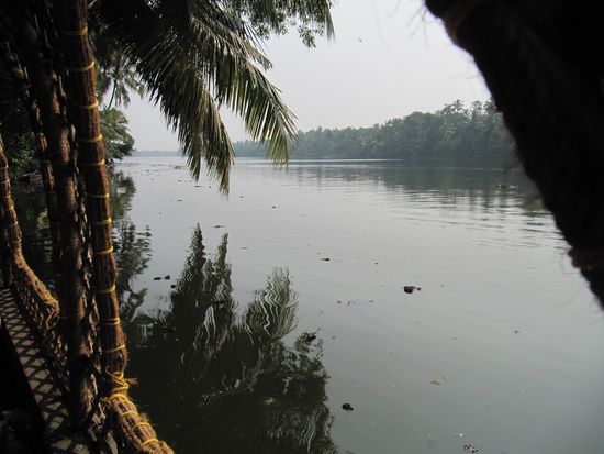 Relax on Backwaters.