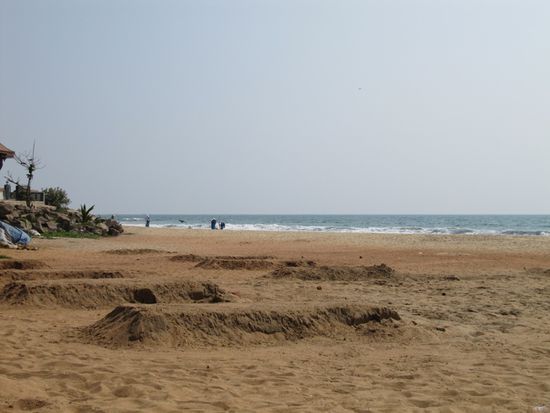 Abends findet man am Strand diese vorsintflutlichen Grabstellen von Außerirdischen ...