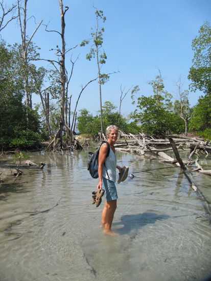 ... die letzten 200m durch Wasser.