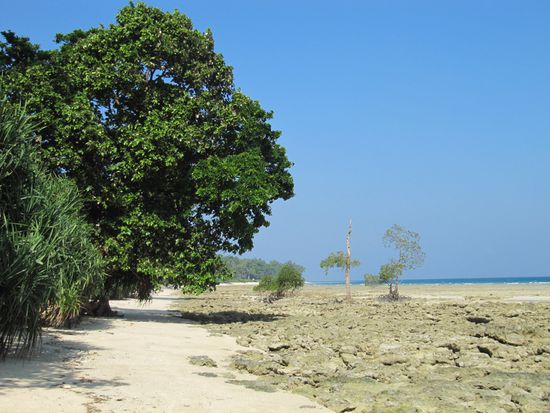 Beach kurz vor Beach No. 1