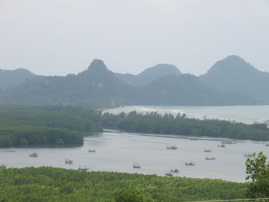 Die Umgebung ca. 60 km südlich von Jane.