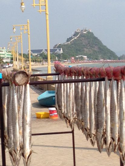 Stinkefisch vor dem Affenberg (Khao Chong Krachok).
