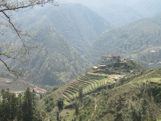 Herrliche Reisterrassen.