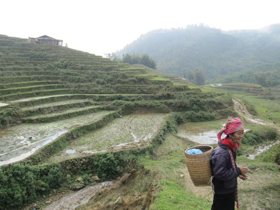 Begegnungen im Reisfeld.