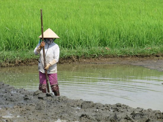 Blick aus dem Fenster.