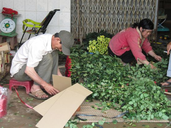 An der Straße werden Rosen liebevoll und sehr gerade verpackt.