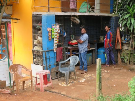 Immer geschäftig: der Hühner-Mann. Die Hühner werden direkt von der Stange geköpft, gerupft und zerkleinert. Alles sehr frisch.