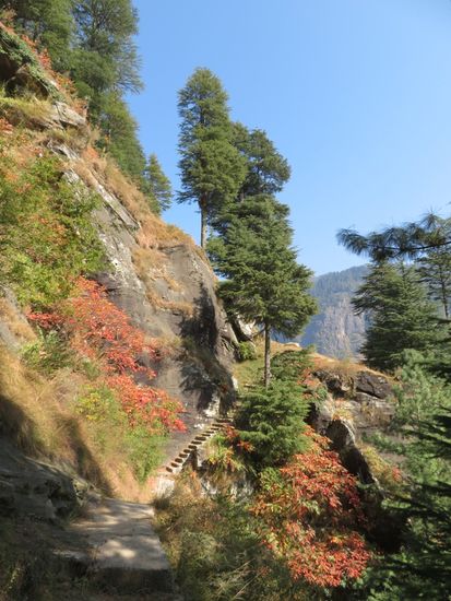 Am 2. Tag leichte Wanderung von Old-Manali nach Vashisht (4km). TIP. Unbedingt machen.