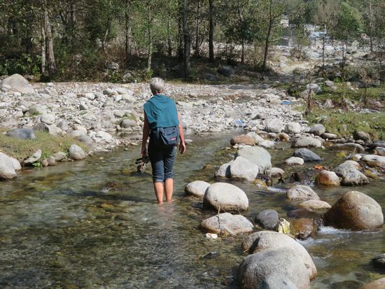 ...Hillo versuchts auf die direkte Art durchs Wasser...