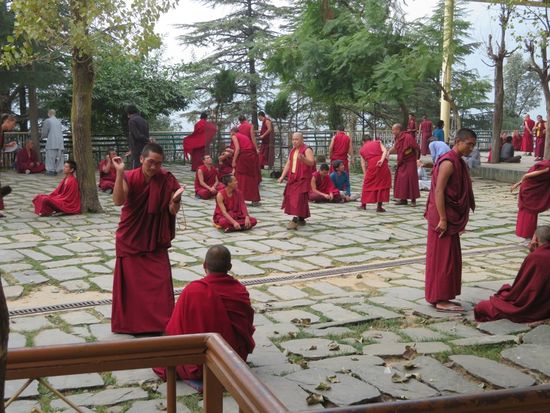 ...in den Gärten wird heftig diskutiert...