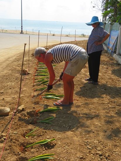 ... alles unter der Aufsicht von Oma natürlich ...