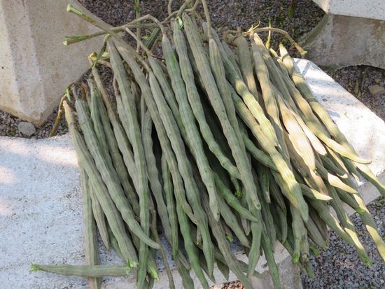 Darum geht es. Was ist das?