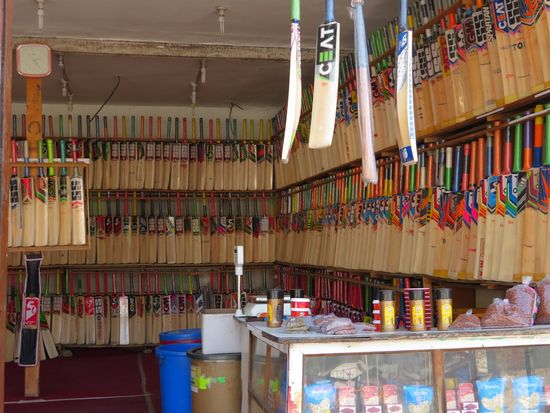 Uns fielen auf der Straße die zahlreichen Rundhölzer, die zum Verkauf angeboten wurden, auf. Daraus werden Cricket Bats gemacht.