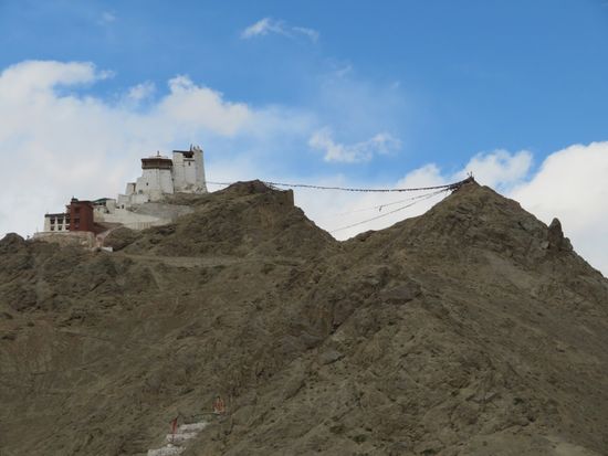 Beim nachmittäglichen Aufstieg zum Namgyal Tsemo Gompa hier in Leh lernen wir Lukas aus Münster kennen. Leider wählen wir an dem einzigen Abzweig des Weges den falschen - einen absolut steilen, steinigen, rutschigen Weg. Wir sprechen uns gegenseitig Mut zu, wissen aber, daß wir keinesfalls umkehren können.