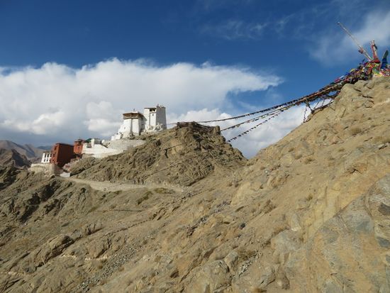 Wir überlassen Lukas mit seinen professionellen Wanderschuhen gerne den Vortritt - und das ist auch gut so.
