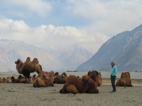 Ein paar Km weiter gibt es Sanddünen und Kamele - für die Touristen.