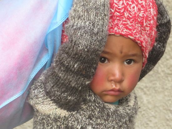 Die Nase läuft ja wie unsere !!!