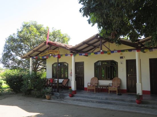Das ist das Bardia Homestay von Sonja aus den Niederlanden und Budhi aus Nepal, die unseren Aufenthalt hier sehr gut organisiert haben. Das Homestay war voll und wir haben nebenan in der Samsara Safari Lodge gewohnt. Das war alles völlig in Ordnung. Sonja und Budhi haben dann auch die Safari am nächsten Tag und unsere Weiterreise in die Hand genommen. Es gab tolle Hinweise für die nächsten Ziele Lumbini und Tansen. Alles völlig korrekt. Wir möchten Sonja und Budhi unbedingt weiterempfehlen.