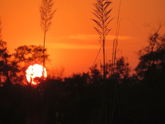 ... bis der Sonnenuntergang unsere Safari beendet.