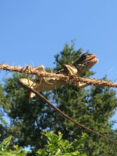 ... und dessen Bewohner.