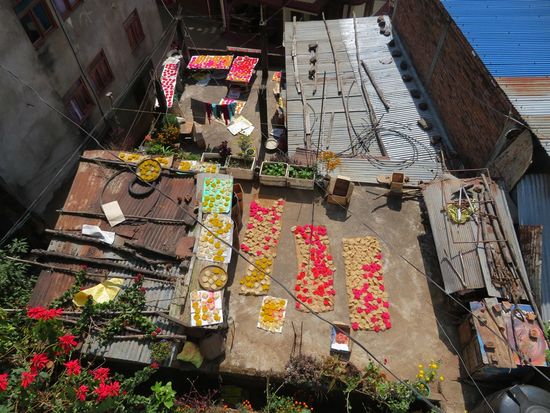 Am Tag 1 (Crow Festival) werden auf den Dächern von Tansen süße Kuchen für die Raben ausgelegt ...