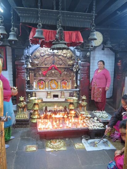 ... die gut versorgt werden.