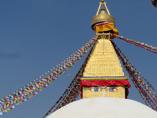 ... und hat die Augen überall.