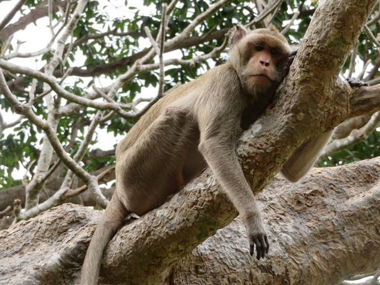 ... die das aber wenig interessiert.