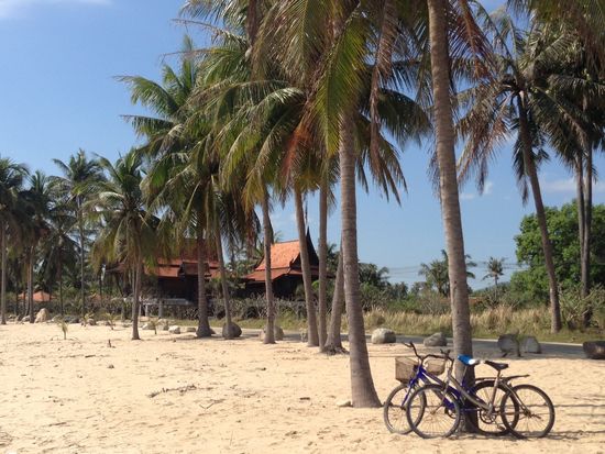 ... unsere Fahrräder ...