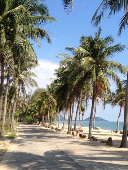 Unsere Strandstraße ...