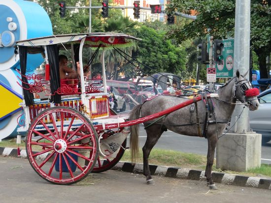 ... oder man sitzt - meist mit lauter Schmalzmusik -  in Pferdekutschen rum.