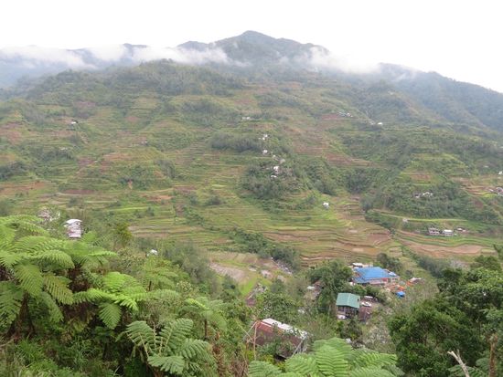 ... und genießt den Ausblick - am ersten Tag bei noch trübem Wetter.