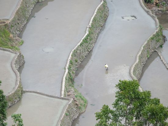 Wir laufen auch ....