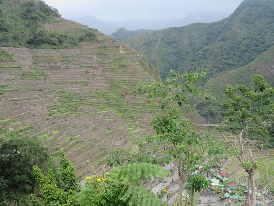 Am nächsten Tag Ausflug zu den Reisterrassen ...