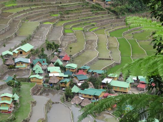 Manche Dörfer liegen mitten in den Reisterrassen und sind nur über steile Feldwege zu erreichen.