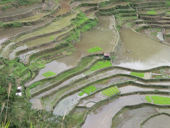 ... 1 Std. rauf und runter ...