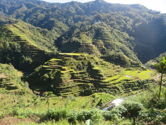Am nächsten Morgen: wunderbar klares Wetter, blauer Himmel ...