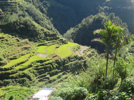 ... ein letzter Blick vom Banaue ViewPoint ...