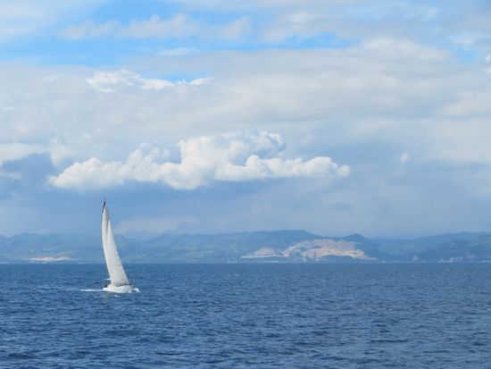 Man fährt ca. 2 Std. an der Küste Bohols entlang ...