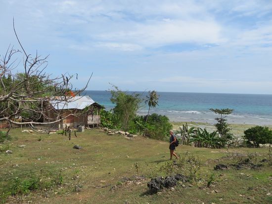 ... geht am Strand spazieren ...